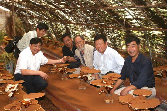 專(zhuān)題報(bào)道