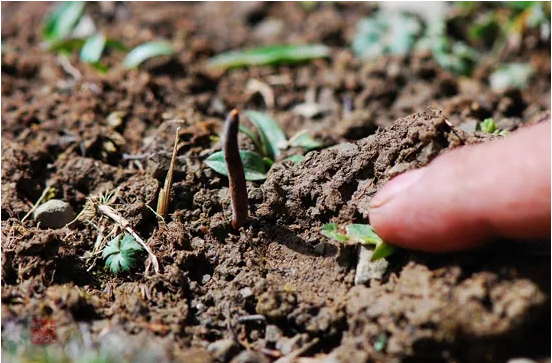 圖片關鍵詞 http://m.jipiaowang.com.cn/ewebeditor/uploadfile/20180921101313325001.png