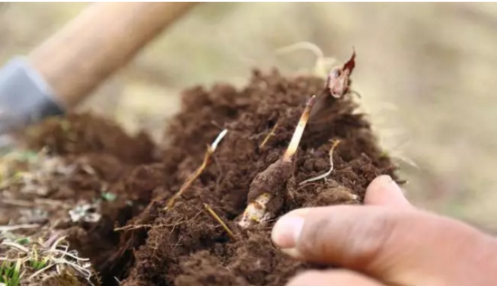 圖片關鍵詞 http://m.jipiaowang.com.cn/ewebeditor/uploadfile/20180921101228689001.png