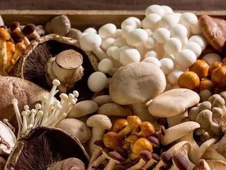 圖片關(guān)鍵詞 https://mmbiz.qpic.cn/mmbiz_jpg/ib6gHnfia6Oolk2ovbJk5OLYV5nIA9cydO5pZOQvJdWVghzAwgbgPSNtn7qibxzjfEQpImTOScErkS4h8qHDqZbRw/640?wx_fmt=jpeg