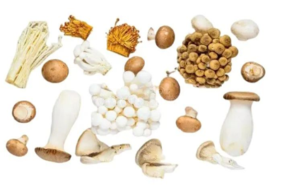 圖片關鍵詞 圖片關鍵詞