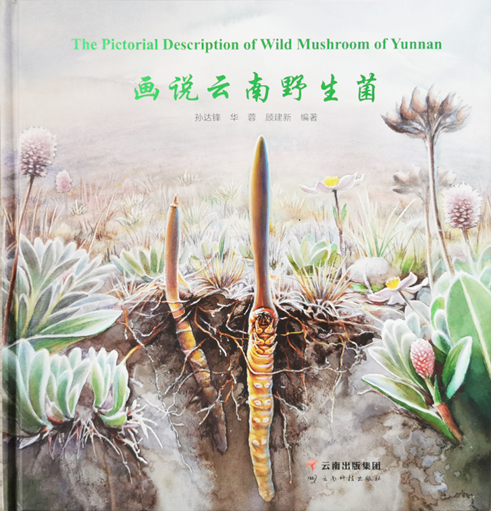 圖片關(guān)鍵詞 圖片關(guān)鍵詞