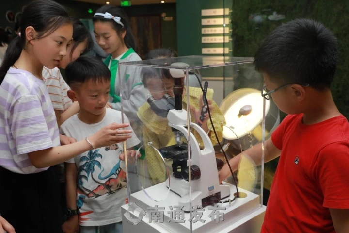 1693537632552545.jpg wm_31276349703017744_904f8681-833d-4b92-b78c-5ba3667a5d17.webp.jpg