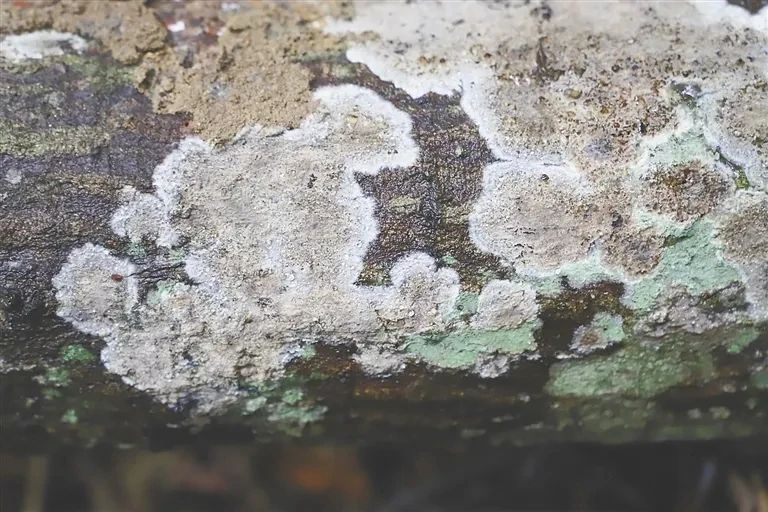 圖片關(guān)鍵詞