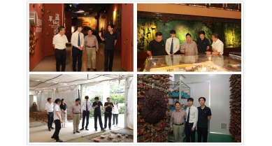 專(zhuān)題報(bào)道