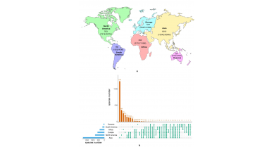 行業(yè)動態(tài)