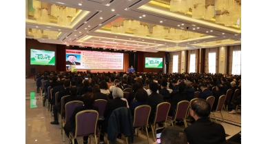 專(zhuān)題報(bào)道