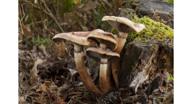 行業(yè)動(dòng)態(tài)