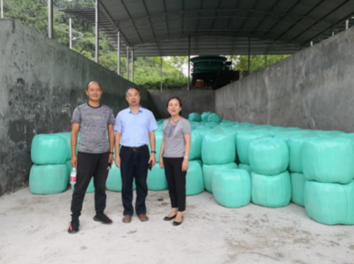 市畜牧總站帶隊南方草地項目指導工作圓滿完成，助力墊豐石畜牧飼料業升級